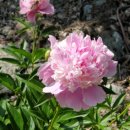 시온산장 이미지