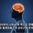 365경희길음한의원 네이버블로그