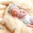 멋쟁이사 이미지