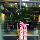 살랑살롱 이미지