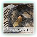 652 | 수원낚시 제대로 즐긴 날 실내낚시터에서 대물 손맛 본 후기