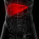 GH자연건강 이미지