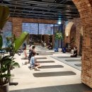 테라피요가(고급) 이미지