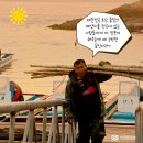 매생이 원조 이미지