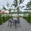 수달1985 이미지