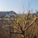 송학강변로 이미지