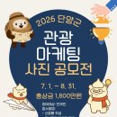 단양관광 충청타임즈