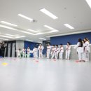 수 태권도장 이미지