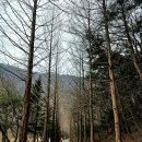 선암골생태유람길 이미지