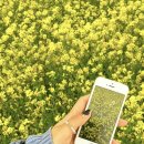 물결공원 화장실 이미지