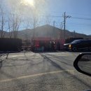 뻘등길 | 양산 원동 딸기 직판장 구매 후기｜이것저것 담은 주말 딸기 쇼핑 🍓