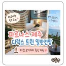 파르나스호텔 | 파르나스 제주 디럭스 트윈 일반전망 오션뷰 태교여행 숙소 추천 후기