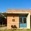 한동리만두 이미지