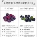 월산슈퍼