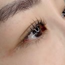 모아모아크리닉 | 분당 서현 속눈썹 펌 ‘스튜디오 모아’ 클리닉 펌 솔직 후기