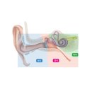 본연한의원 이미지