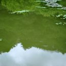 불영사식당 이미지