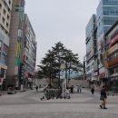 신나무실육교 이미지