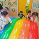 토리체육