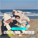 장수주유소 | 1박2일 겨울 강릉여행 아이들과 2026년 첫 여행 후기