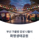 부산 가을밤 감성 나들이, 화명생태공원 별바다부산 나이트마켓 후기
