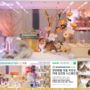 골든스웨터 캐터리 이미지