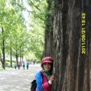 죽녹원마을 이미지