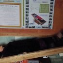 초원 사우나 이미지