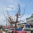 멍꼬발랄 이미지