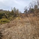 적량면사무소 이미지