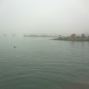 김선장낚시터 이미지