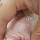 속초삼성동물메디컬센터 이미지