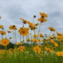 율곡우체국 이미지