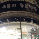 오블리 동물병원 이미지