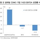 아침엔 울었지만 오후엔 웃었다_삼성바이오로직스_가온칩스_뉴프렉스_삼성엔지니어링_텔레칩스_의료기기