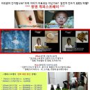 아토피 걱정끝~ 집먼지진드기 박멸/ 모기 벌레 퇴치~~~ 이미지