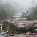 우면산5-9 이미지