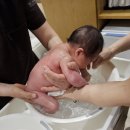세인트누보산후조리원 | 일산 행신 산후조리원 [세인트누보] 2주후기