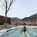 선수촌탁구클럽 | 정선여행 2️⃣ :: 파크로쉬 1박 제대로 즐기기! 임산부 가능한 웰니스프로그램, 야외자쿠지, 글래스하우스 등