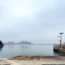 도선장횟집 이미지