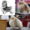 SPACE POME(스페이스폼) 이미지