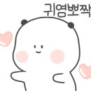 지지배네일