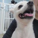 동실 이미지