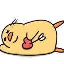 신시닭발