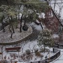 성원초등학교 이미지