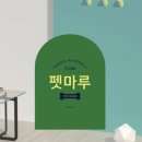 펫테리 이미지