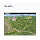 의성빌딩 | 경북 2026 제2회 의성마늘 마라톤 참가... 이거 맞는 건가