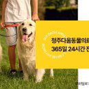 괴산동물병원 이미지