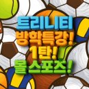 호암태권도 이미지