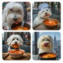 대학생활맛보기 [AE프로그램 blog]